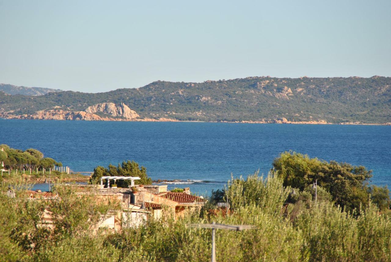 Sardegna Pittulongu * Olbia